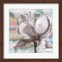 Pastel Magnolias I Fine Art Print