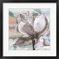 Pastel Magnolias I Fine Art Print