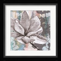 Pastel Magnolias II Framed Print
