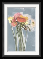 Poppy Spray III Framed Print