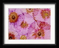 Crepe Paper Flowers I Framed Print