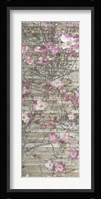 Dogwood Dance I Framed Print