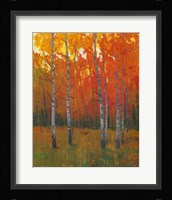 Changing Colors I Fine Art Print