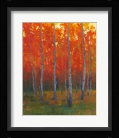 Changing Colors II Fine Art Print