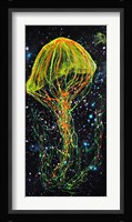Atlantic Sea Nettle Fine Art Print
