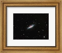 Galaxy M82 in Ursa Major Fine Art Print