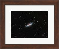 Galaxy M82 in Ursa Major Fine Art Print