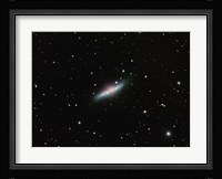 Galaxy M82 in Ursa Major Fine Art Print
