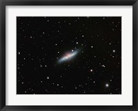 Galaxy M82 in Ursa Major Fine Art Print