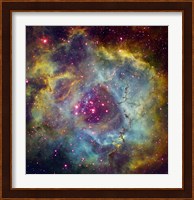 Rosette nebula (NGC 2244) in Monoceros Fine Art Print