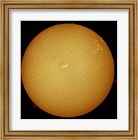 The sun in H-alpha light Fine Art Print