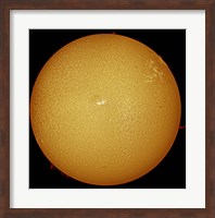The sun in H-alpha light Fine Art Print