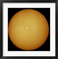 The sun in H-alpha light Fine Art Print