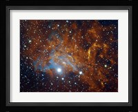 Flaming Star Nebula in Auriga Fine Art Print