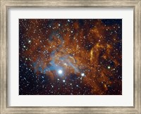 Flaming Star Nebula in Auriga Fine Art Print
