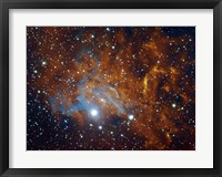 Flaming Star Nebula in Auriga Fine Art Print