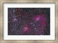 Area of Flaming Star Nebula and complex in Auriga Fine Art Print