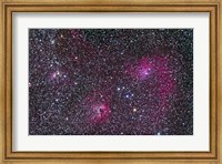 Area of Flaming Star Nebula and complex in Auriga Fine Art Print