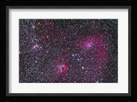 Area of Flaming Star Nebula and complex in Auriga Fine Art Print