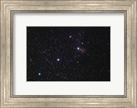 Orion's Belt, Horsehead Nebula and Flame Nebula Fine Art Print