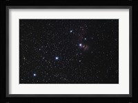 Orion's Belt, Horsehead Nebula and Flame Nebula Fine Art Print