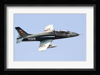 Romanian Air IForce AR-99 Soim jet trainer Fine Art Print