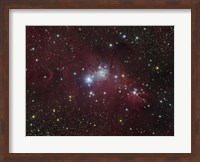 The NGC 2264 region showing the Cone Nebula, Christmas Tree Cluster, and Fox Fur Nebula Fine Art Print