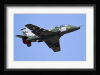 A Serbian Air Force Soko G-4 Super Galeb Fine Art Print