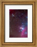 Area around the Belt of Orion, with the Horsehead and Flame Nebula Fine Art Print