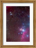 Area around the Belt of Orion, with the Horsehead and Flame Nebula Fine Art Print