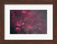 Gamma Cygni nebulosity complex with the Crescent Nebula Fine Art Print