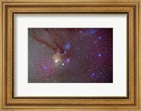 Head of Scorpius with celestial deep sky objects Fine Art Print