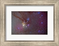 Head of Scorpius with celestial deep sky objects Fine Art Print