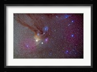 Head of Scorpius with celestial deep sky objects Fine Art Print
