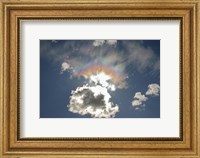 Iridescent clouds, Alberta, Canada Fine Art Print