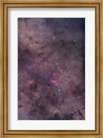 NGC 6231 area oriented equatorially Fine Art Print