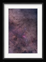 NGC 6231 area oriented equatorially Fine Art Print