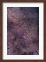 NGC 6231 area oriented equatorially Fine Art Print