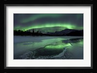 Reflected aurora over a frozen Laksa Lake, Nordland, Norway Fine Art Print