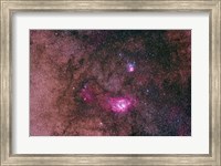 The Lagoon Nebula and Trifid Nebula in the constellation Sagittarius Fine Art Print