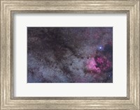 The North America Nebula and dark nebulae in Cygnus Fine Art Print