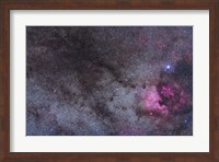 The North America Nebula and dark nebulae in Cygnus Fine Art Print