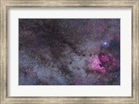 The North America Nebula and dark nebulae in Cygnus Fine Art Print