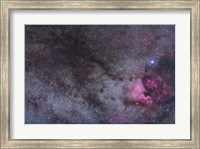 The North America Nebula and dark nebulae in Cygnus Fine Art Print