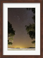 The Orion constellation between trees, Buenos Aires, Argentina Fine Art Print