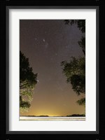 The Orion constellation between trees, Buenos Aires, Argentina Fine Art Print