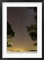 The Orion constellation between trees, Buenos Aires, Argentina Fine Art Print