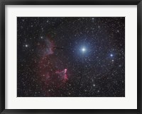 Variable star Gamma Cassiopeiae, with associated emission and reflection nebulae Fine Art Print