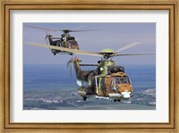 Eurocopter AS532 Cougar helicopters in flight over Bulgaria Fine Art Print