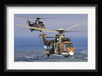 Eurocopter AS532 Cougar helicopters in flight over Bulgaria Fine Art Print